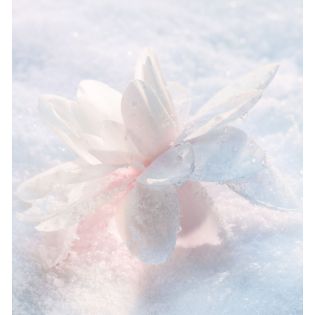 Diorsnow Siero Essenza di Luce