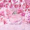 Set di fragranze per la festa della mamma Better Than Roses