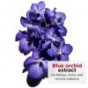Olio per il trattamento viso all'Orchidea Blu