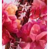 Il profumo Miss Dior