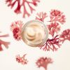 Crema levigante antirughe