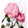 Essenza di rosa Miss Dior