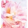 Bouquet fiorito di Miss Dior