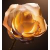 Ricarica Dior Prestige Le Nectar Premier