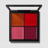 Tavolozza viso Pro: fard