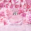 Bellissimo set di fragranze Magnolia Dare To Play