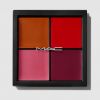 Tavolozza viso Pro: fard